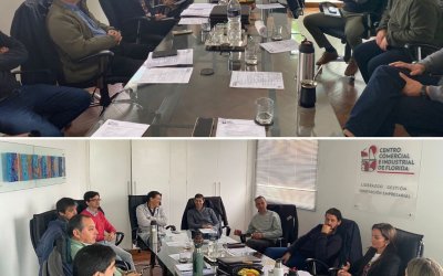 Reunión de Comisión Directiva 6/6