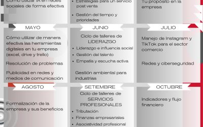 Cronograma de Capacitaciones